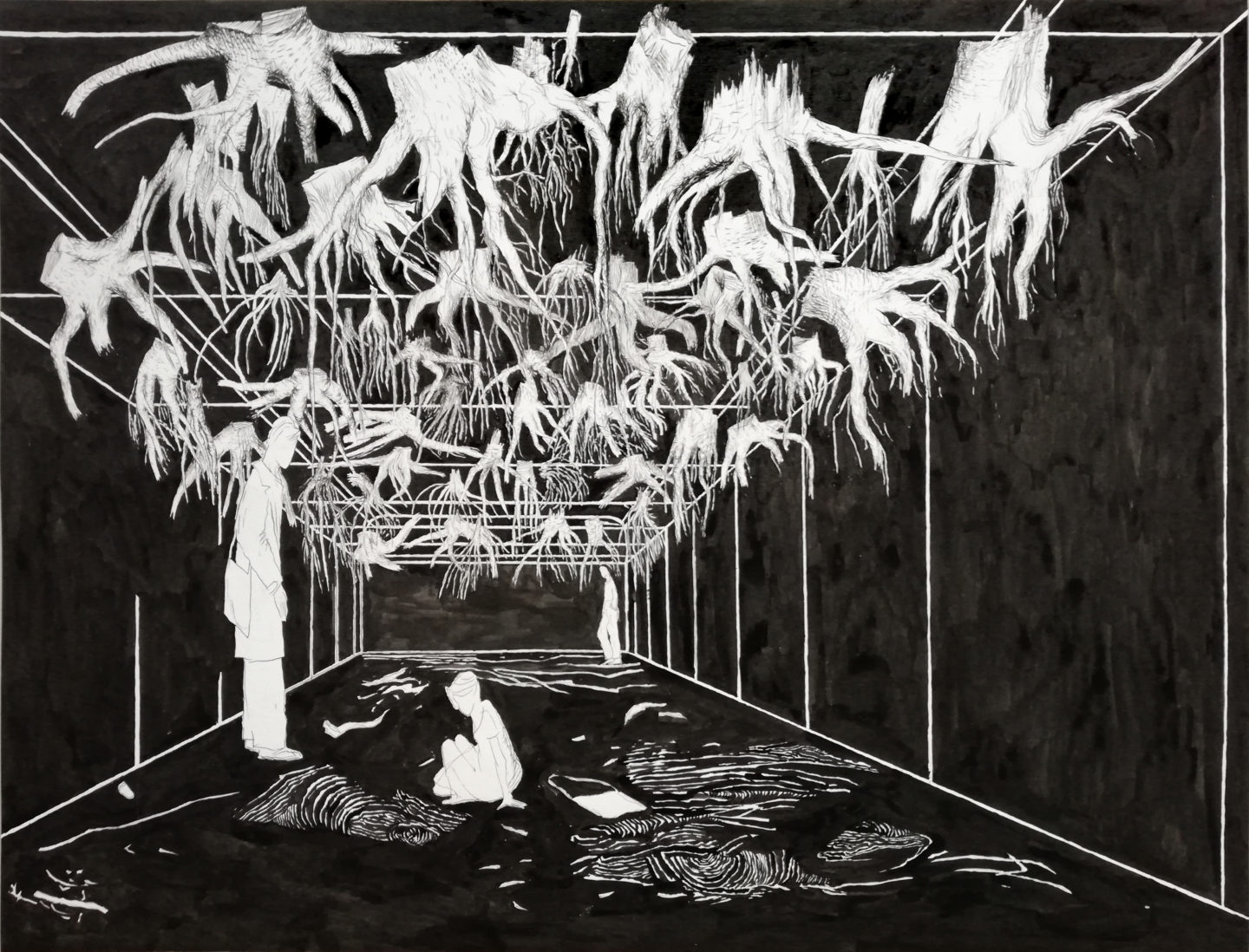 Rhizopolis