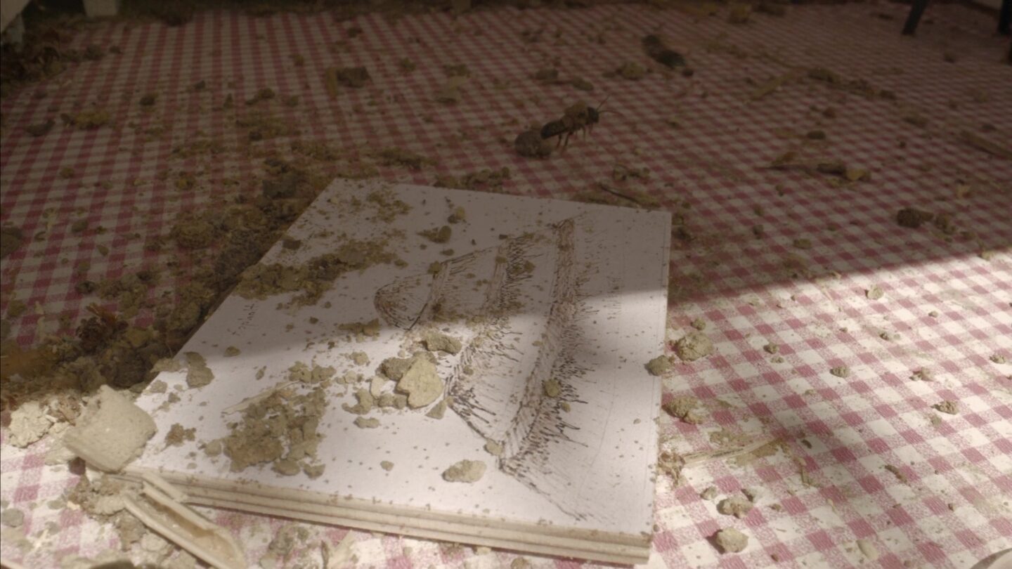 Avant-garde for Insects