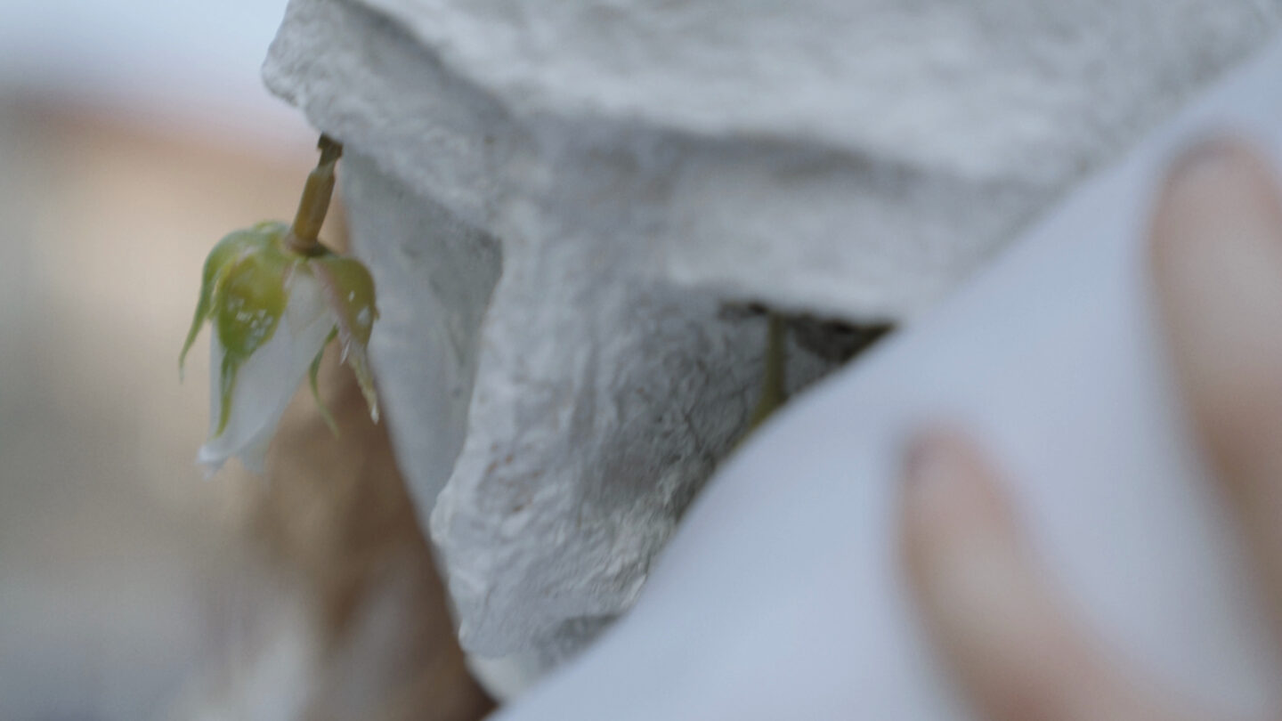 شهداء i דיבוקים   /   DYBBUKS AND MARTYRS
